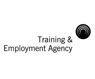 Pelatihan Employment Agency