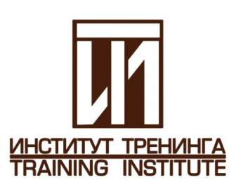 Institut Pelatihan