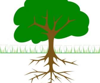 Tree Branches And Roots Clip Art