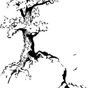 árbol Encima Prediseñadas De Colina
