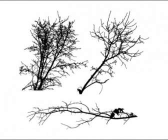 Baum Silhouetten