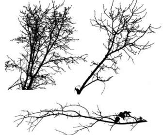 Baum Silhouetten