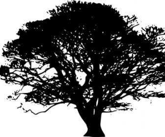 Pohon Siluet Clip Art
