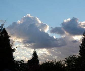Treeframed Cloud