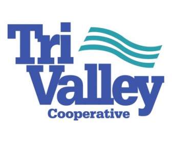 Tri Valley