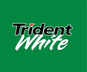 Trident Putih