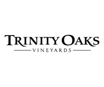 Trinitas Oaks