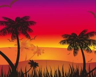 Sunset Tropis