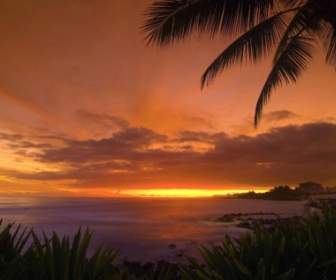 Tropical Sunset Wallpaper Landscape Nature