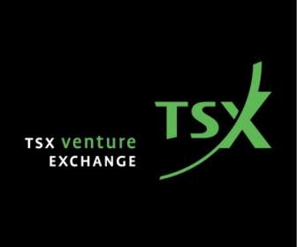 TSX Venture Asing