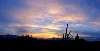 Tucson-Sonnenaufgang