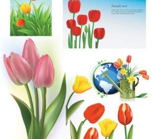 Tulip Vector