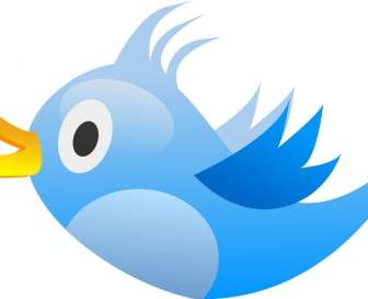 Pájaro De Tweet