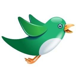 Twitter Bird Flying Green