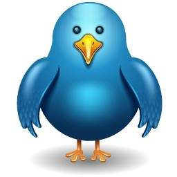 Frente De Pássaro Do Twitter