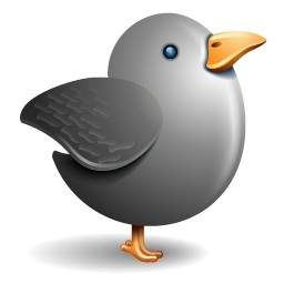 Twitter Gris Oiseau