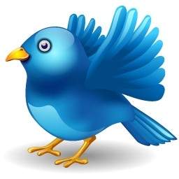 Atterrissage De L'oiseau De Twitter