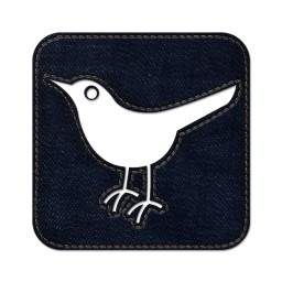 Twitter Bird2 Square