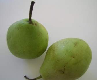 2 つの緑色の梨