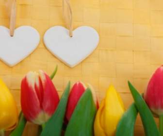 Zwei Herzen Und Tulpen