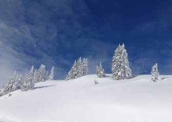 Neve Di Inverno Alto Adige Hahnenkamm