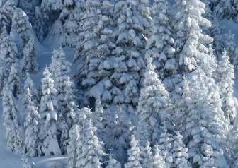 Tyrol Tannheimertal Winter