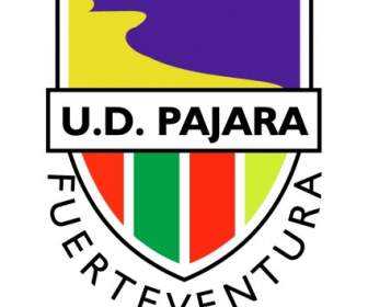 UD Pajara