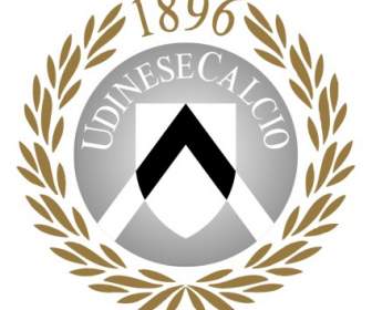 จุดเด่น Udinese