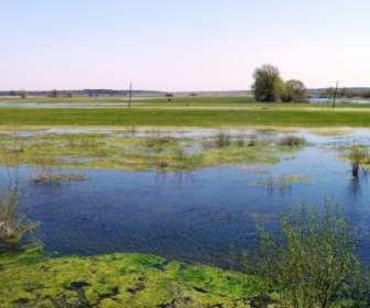 ウクライナ湿地風景
