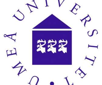 Universidad De Umea