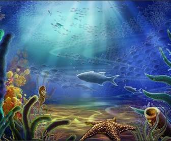 Underwater World Starfish Hippocampus Ikan Rumput Laut Psd Berlapis Bahan