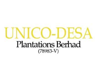Unico Desa Plantagen