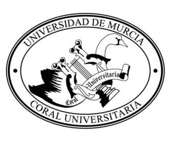 جامعة دي مورسيا
