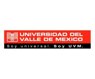 大學 Del Valle De 墨西哥
