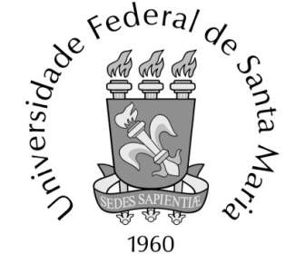 جامعة الاتحادية دي سانتا ماريا
