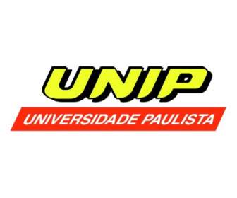 Universidade Паулиста