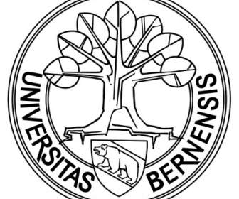 大學 Bernensis