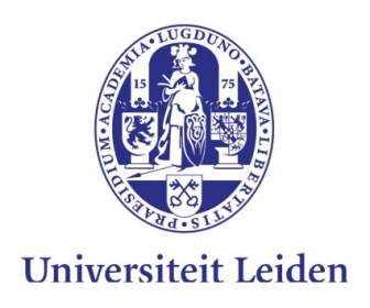 Universidad De Leiden