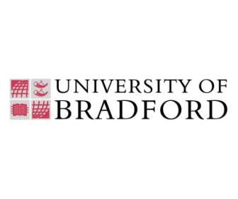 Universidade De Bradford
