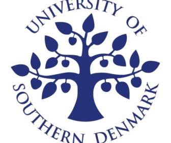 Università Della Danimarca Meridionale