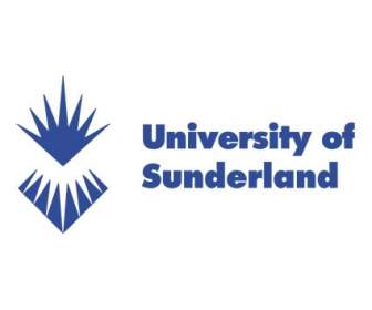 Университет Sunderland