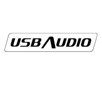 аудио через USB