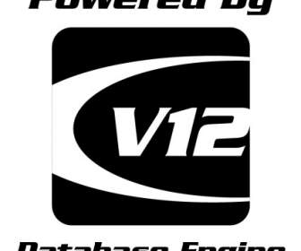 V12 Motore Di Database