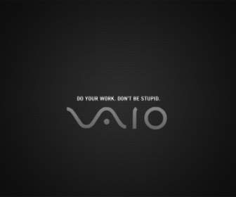 คอมพิวเตอร์ Vaio วอลล์เปเปอร์ Sony Vaio