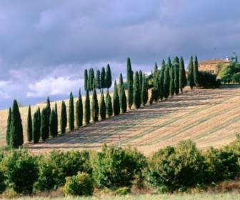 Val D Orcia Wallpaper Italy World