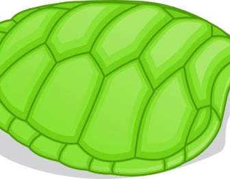 فاليسيوبريتو هوف من السلاحف الخضراء قصاصة فنية