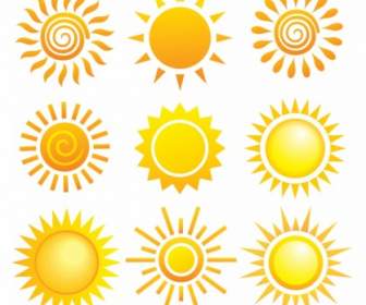 Variety Of Sunflower Pattern Icon Vector