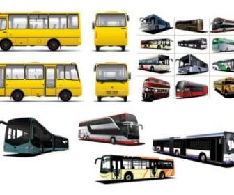 Varios Autobuses Vector De Autobús
