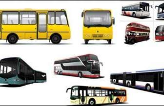 Vários ônibus Vetor De ônibus