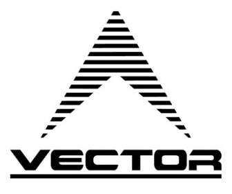 Vektor
